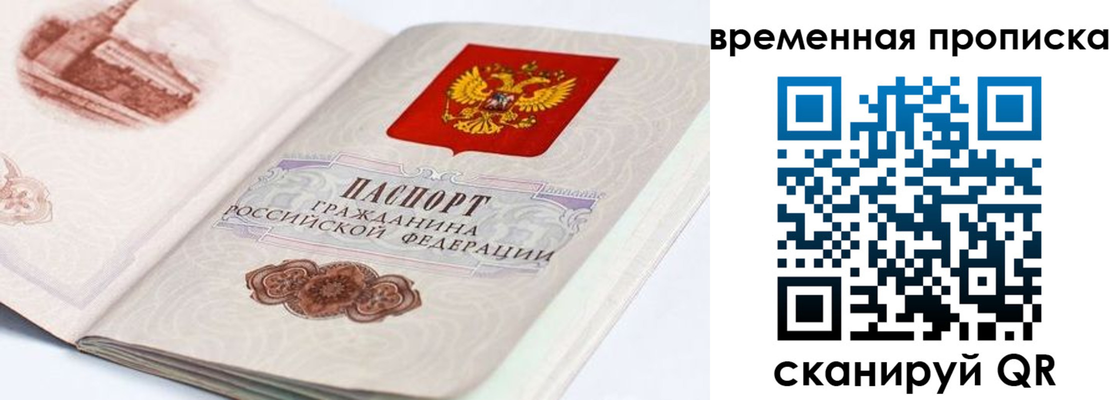 прописка 2025 в Кузнецке